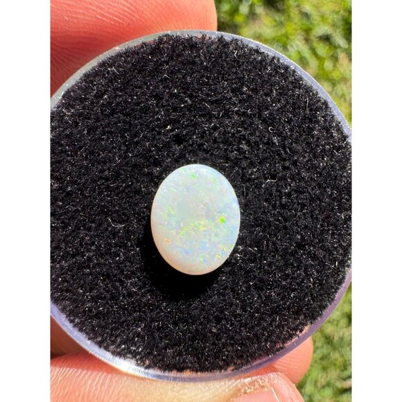 Australian Opal Cabochon - 1.22 carats #171 in Display Box - Picture 6 of 8